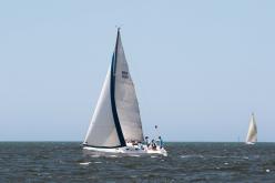 Galeria de Fotos - FOTOS - 72ª Regata Volta da Taputera - Classe OCEANO