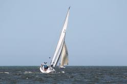 Galeria de Fotos - FOTOS - 72ª Regata Volta da Taputera - Classe OCEANO