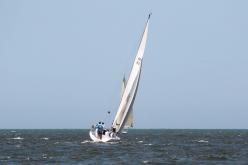 Galeria de Fotos - FOTOS - 72ª Regata Volta da Taputera - Classe OCEANO