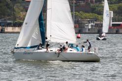 Galeria de Fotos - FOTOS - 72ª Regata Volta da Taputera - Classe OCEANO