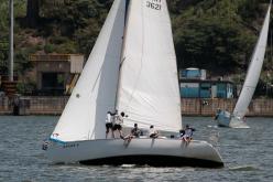 Galeria de Fotos - FOTOS - 72ª Regata Volta da Taputera - Classe OCEANO