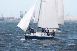 Galeria de Fotos - FOTOS - 72ª Regata Volta da Taputera - Classe OCEANO