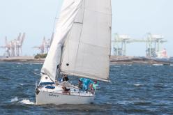 Galeria de Fotos - FOTOS - 72ª Regata Volta da Taputera - Classe OCEANO