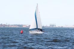 Galeria de Fotos - FOTOS - 72ª Regata Volta da Taputera - Classe OCEANO