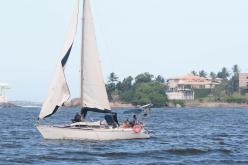 Galeria de Fotos - FOTOS - 72ª Regata Volta da Taputera - Classe OCEANO