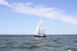 Galeria de Fotos - FOTOS - 72ª Regata Volta da Taputera - Classe OCEANO