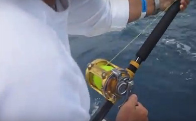 Torneio Ices de Peixe de Bico 2011 (Última Etapa) - Vídeo 1